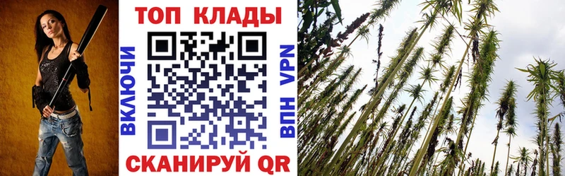 Магазины продажи наркотиков Пущино Alpha-PVP  Мефедрон  ГАШИШ  АМФ  Канабис 