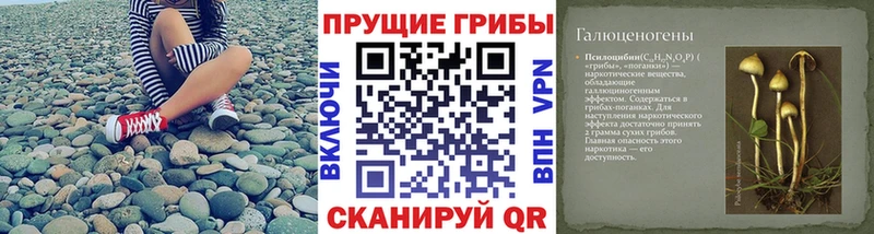 ссылка на мегу ONION  Пущино  Галлюциногенные грибы Magic Shrooms 