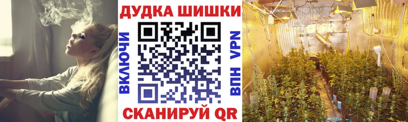 закладки  Пущино  ссылка на мегу зеркало  Конопля план 